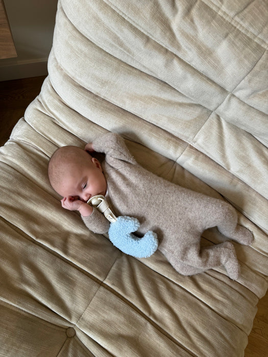 Classic Collection Teddy Baby Blue