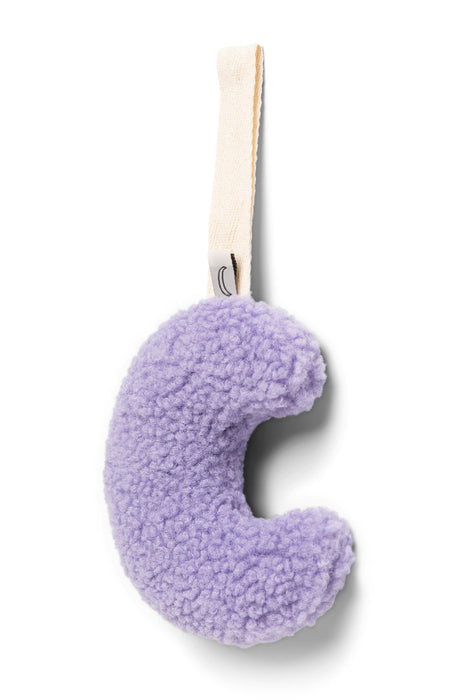 Teddy Purple Rain